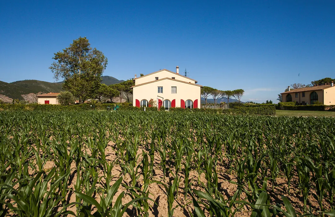 Cascina Canova B&B-1